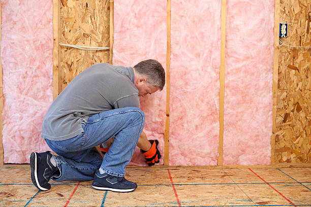 Best Best Insulation Companies  in Tamalpais Homestead Valley, CA