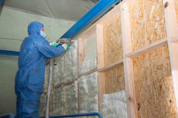 Insulation Replacement Services in Tamalpais Homestead Valley, CA